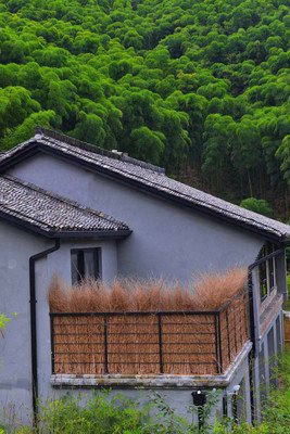 《再见老房子-祝勇文化笔记》读后感锦集