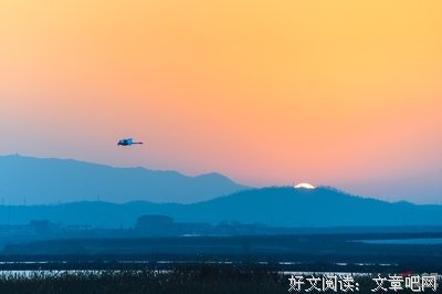 泰戈就主来把经典名句