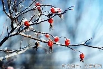 寒到窒息经典的句子