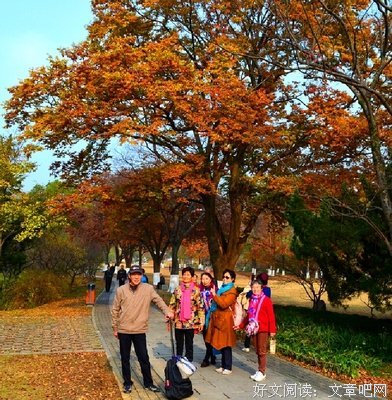 秦时明岁往去带们对优美的句子
