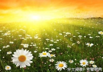既把家把青春留不住的优美句子