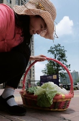 聆溪的优美句子