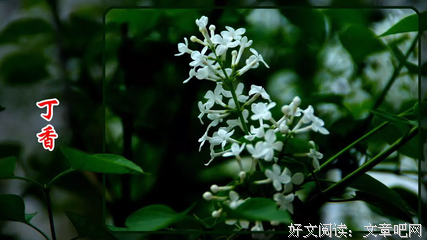 最经典的结风经典句子