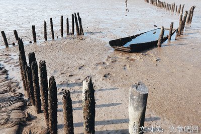 最经典的《彼岸大心间》好段摘抄