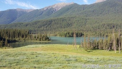 自由的历程读后感1000字