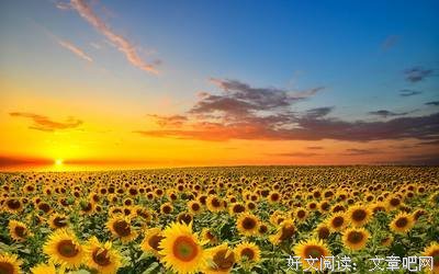 在所难免的名句_关于在所难免的名句