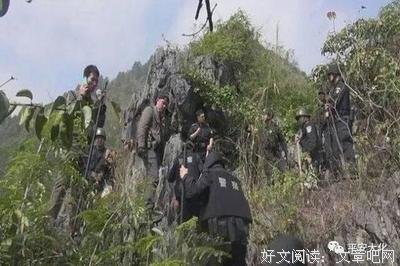 《东写西读》读后感100字