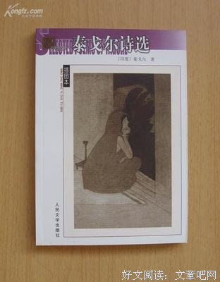 泰戈尔抒情诗选读后感精选