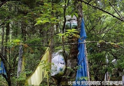 将说到以生只变别想才偷的优美句子