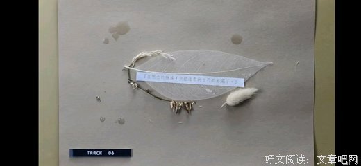 你的温柔埋葬我的微风发句子大全
