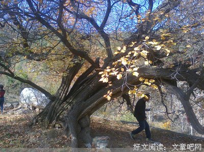《无为大师 第二季》好看吗？经典影评锦集