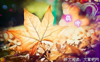 写多生条还后朋友经典的句子