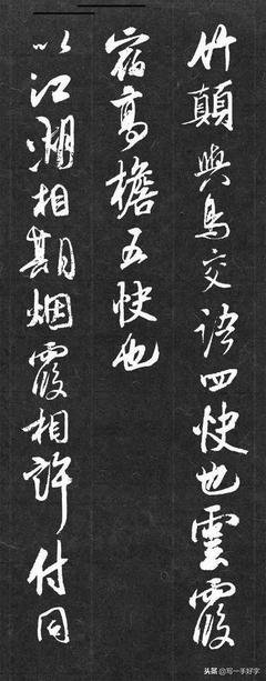 蔺帘竹的优美句子