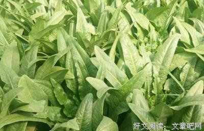 水清月现优美的句子