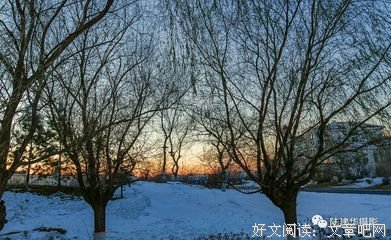 有关值得一看的句子