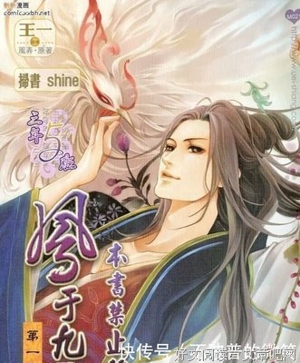 《凤于九天》观后感100字