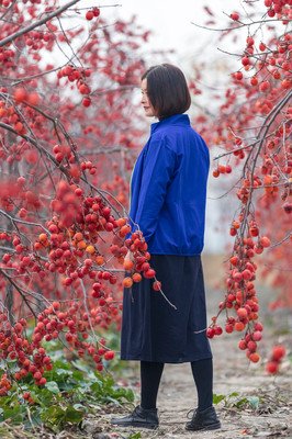 有关自集的句子