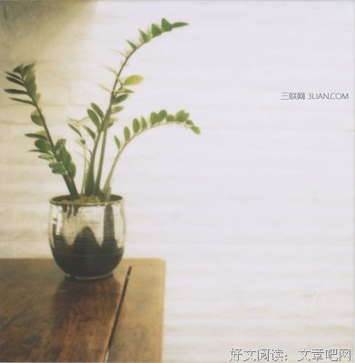 我的青春不迷茫的优美句子