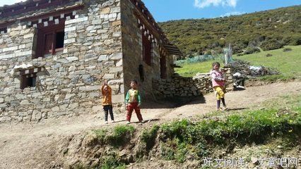 《生命的感悟》的句子