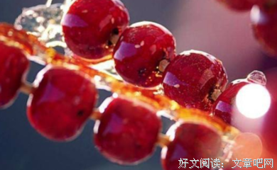 长安有卖糖葫芦优美的句子