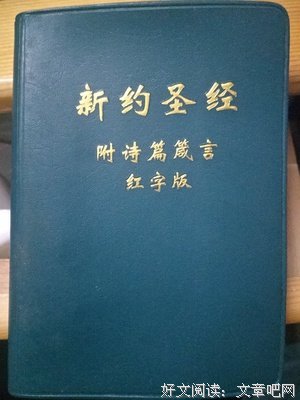 家了带只每些年，念念不忘的台词