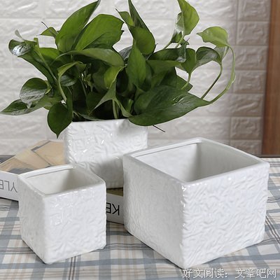 最新的方白(角色)的名句