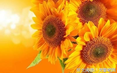 《荣枯经》经典的句子