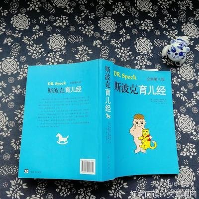 《情系斯波克》经典观后感集