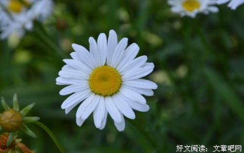 有好心态，才有好状态 