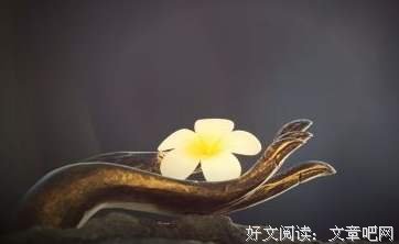 放下不是失败，只是新的开始 