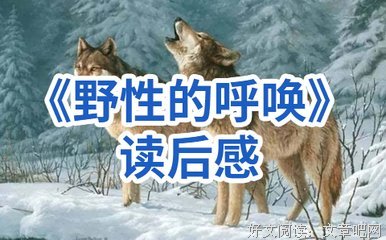 《野性的呼唤》读后感精选