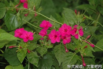 重力使命读后感1000字