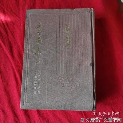 《王子安集注》读后感精选