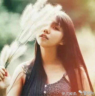 别做正常的傻瓜的读后感大全