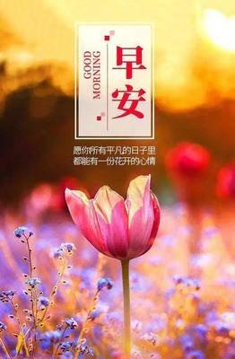 关于我中有你的唯美语录