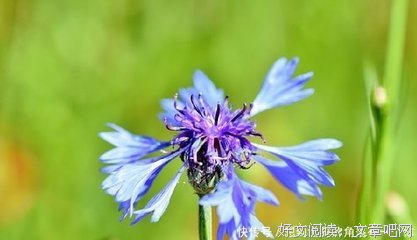 关于说到做到的语句