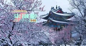 戴望舒译诗集的读后感大全