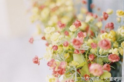 列侬回忆读后感摘抄