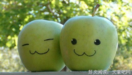 亚当的苹果读后感1000字