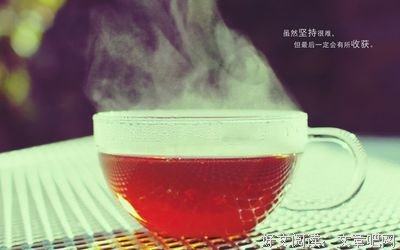 关于美人如画的优美句子