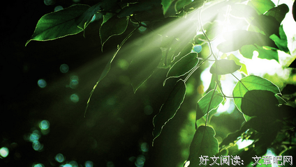 蛊毒优美的句子