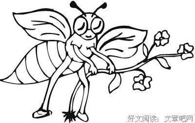 《蜜蜂少女队》经典观后感1000字
