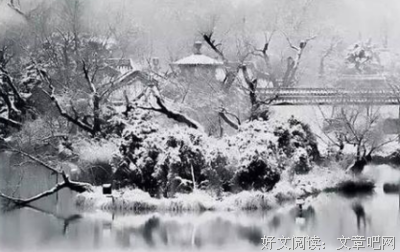 诉情，治愈句子大全