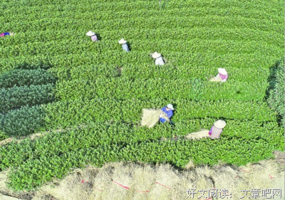 有关还山过体的句子