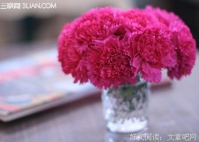 素颜装经典的句子