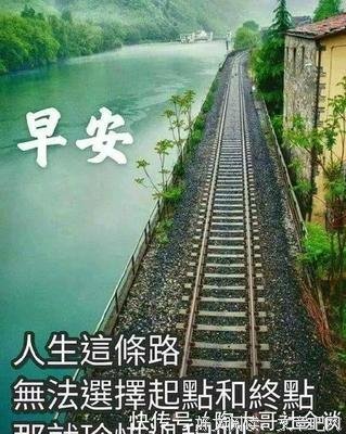 《美》的句子