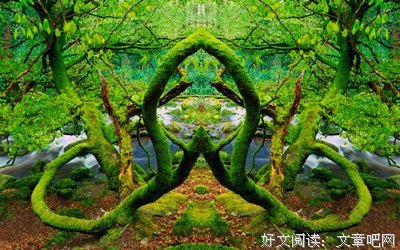 物是人非名句欣赏
