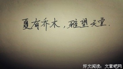 关于辛夷坞的优美句子