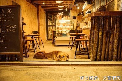 最经典的《匆匆时当觉以好年》小说句子