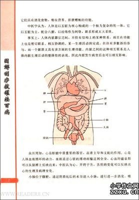 《密西西比 第一季》经典观后感有感